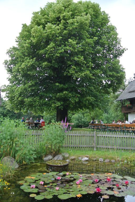 Appartment Buerger-Hinteregger 塞博登 外观 照片